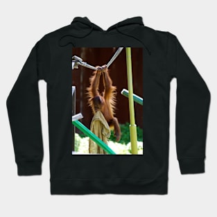 Playtime For Baby Orang Utang Hoodie